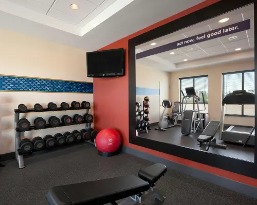 Hampton Inn Boston/Cambridge الترفيه والتسلية Photos