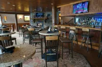 The Estes Park Resort - bar