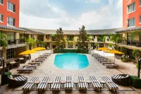 Hotel Zaza Houston Museum District - piscina