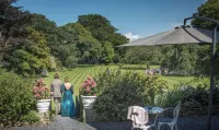 Plas Dinas Country House - 5-Star