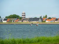 Belle Rose I