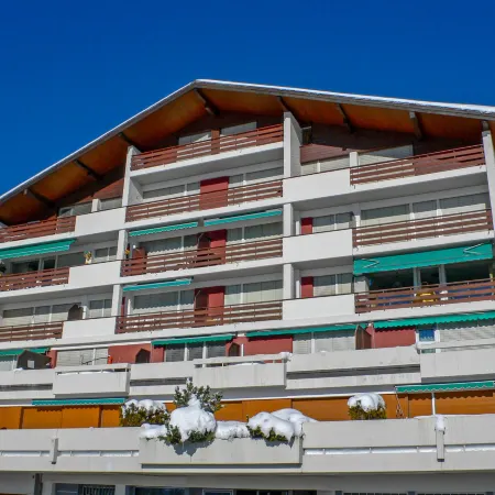 Clairière des Barzettes B16