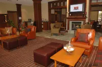 Sheraton Tarrytown Hotel - bar