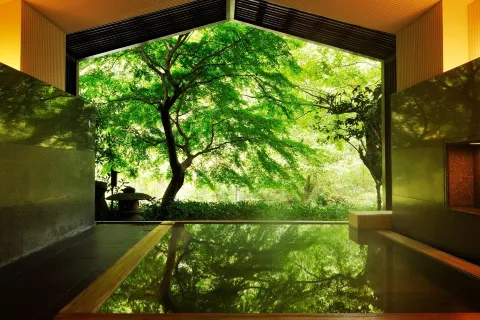 호시노 리조트 카이 하코네