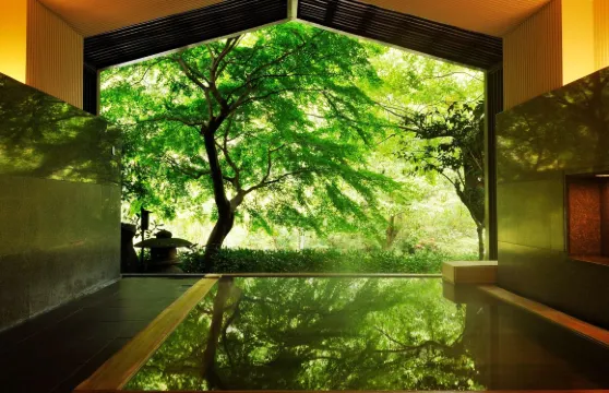 星野集團 界 箱根