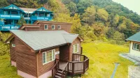 Gangneung Yasaenghwa Maeul