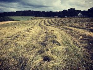 Katrinelund Bed and Breakfast