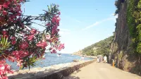 To Seize! Holiday Rental la Maison de Noelie Rdj 300m River / 800m Village