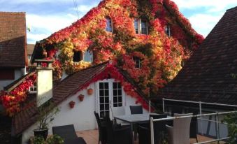 Guesthouse les Mignardises