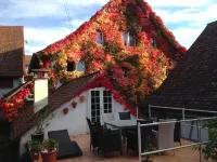 Guesthouse les Mignardises Hotels in Neuhausen am Rheinfall