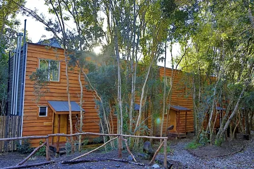 Cabañas Ensenada Bosque Nativo Hotel di Puerto Varas