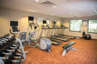 Holiday Inn Express & Suites DETROIT-NOVI by IHG - Træningscentre