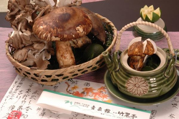 게로 온센 키센칸 치쿠스위테이(Gero Onsen Kissenkan Chikusuitei)_4