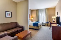 Comfort Inn South Chesterfield - Colonial Heights Hotels in Bermuda