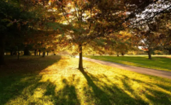 阿爾卑斯酒店 酒店