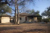 Antares Bush Camp & Umgede Hide