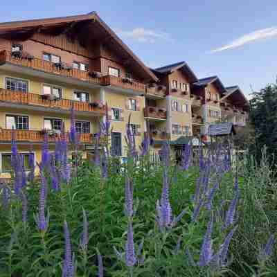 Hotel Matschner Hotel Exterior