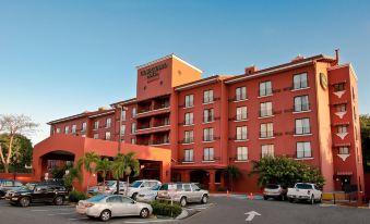 Courtyard Santo Domingo