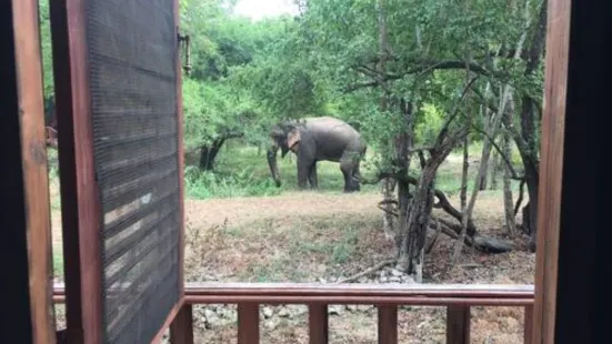 The Elephant Hide Villa