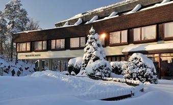 "a snow - covered building with the words "" hotel nadja "" on it , surrounded by trees and bushes" at Berghotel Bastei