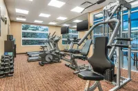 Best Western Plus Bathurst Hotel  Suites - Gym