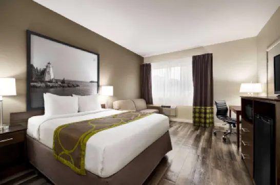 Super 8 by Wyndham Sarnia on Hotel di 