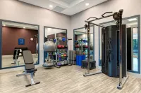 Hampton Inn & Suites by Hilton Burlington Toronto - Kuntosalit