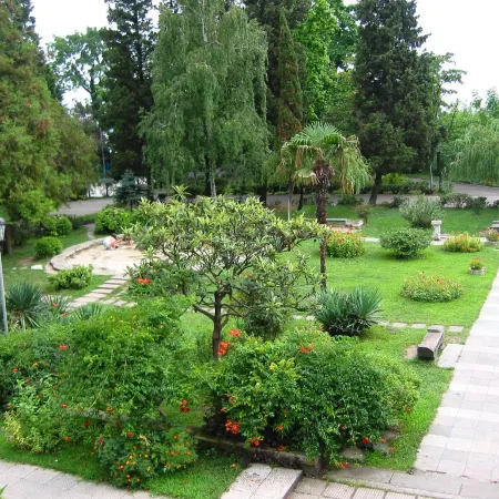Rosa Del Viento (Роза Дел Виенто)
