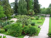 Rosa Del Viento