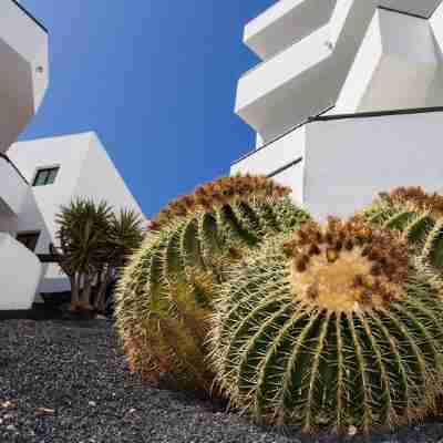 Apartamentos Lanzarote Paradise Colinas Hotel Exterior