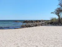 "Roger" - 400m from the Sea