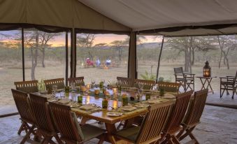 Kicheche Bush Camp