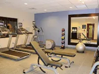 Hampton Inn & Suites Flowery Branch Lake Lanier - salle de sport