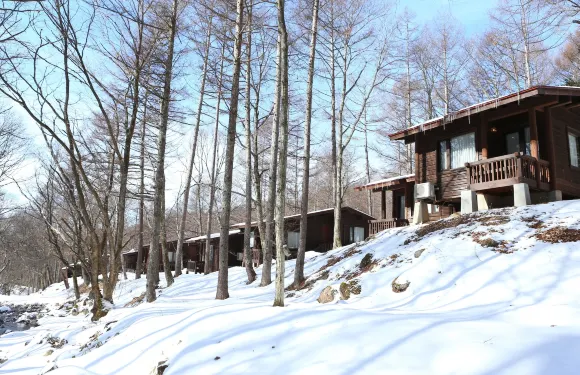 蓼科町東急酒店