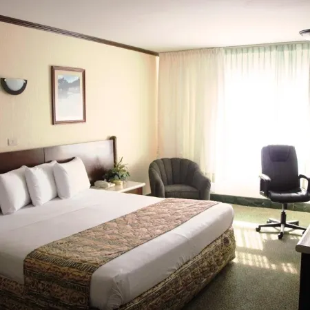 Hotel Sicomoro