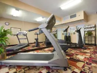 Hampton Inn by Hilton Oak Ridge Knoxville - Træningscentre