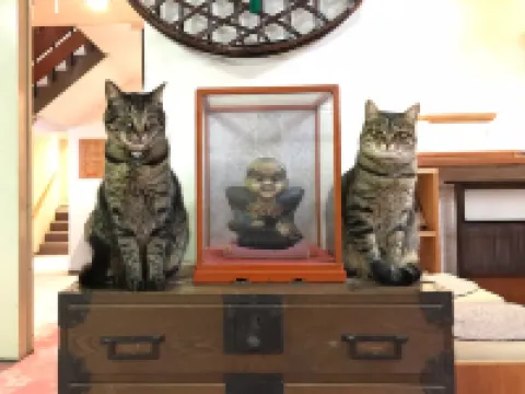 Kiriya Ryokan Hotels in Nozawaonsen