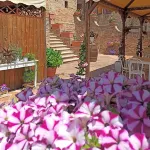 Albergo Diffuso Borgo Montemaggiore Hotels in Corinaldo