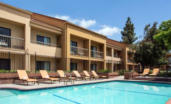 a large swimming pool with lounge chairs and a view of a hotel building in the background at Courtyard Pleasanton