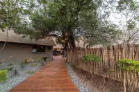 Tomo Safari Lodge