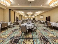 Holiday Inn & Suites Edmonton Arpt - Conference Ctr Hotels in Nisku