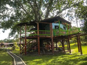 "room in Lodge - Tree House Finca la Floresta Verde"