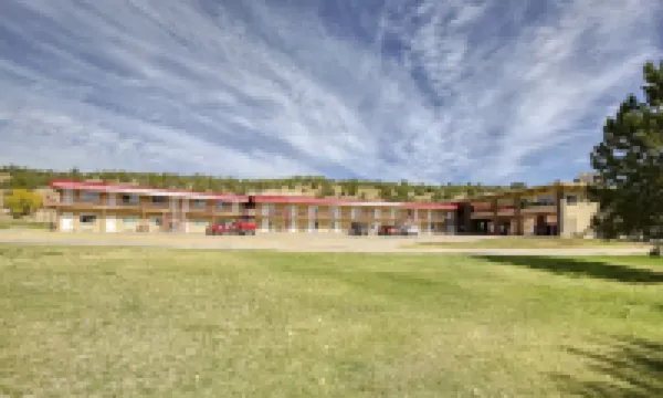 Super 8 by Wyndham Newcastle
