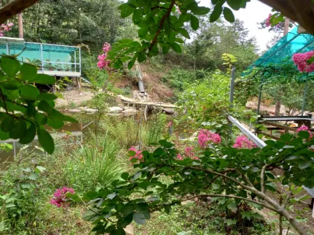 Goseong Family Picnic Pension