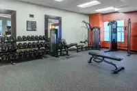 Hilton Garden Inn Freeport Downtown - gimnasio