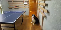 Whole House Rental Sarari Hotel a Ichihara