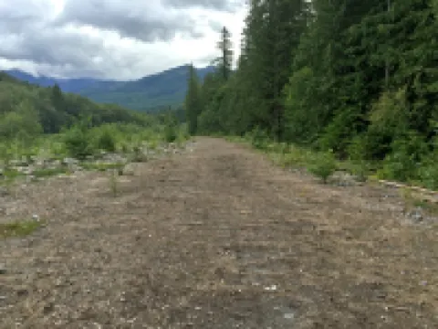 Glacier Springs Cabin 89 Cedar and Log Cabin Close to Skiing and Hiking Hoteles en Deming