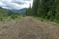 Glacier Springs Cabin #21 - This Family Home Says Cabin in the Country!