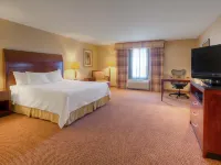 Hilton Garden Inn Great Falls Hotels near Great Falls International Airport