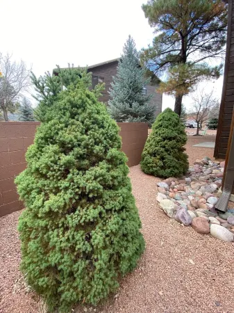 Cozy White Mountain Getaway! Отели в г. Шоу Лоу